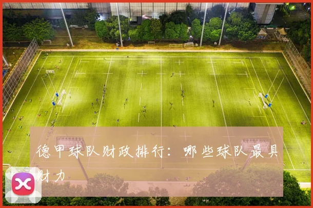 德甲球队财政排行：哪些球队最具财力